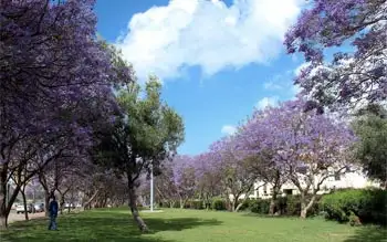 Abha’s Most Beautiful Parks: A Guide for Nature Lovers