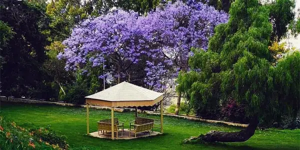 Abha’s Most Beautiful Parks: A Guide for Nature Lovers