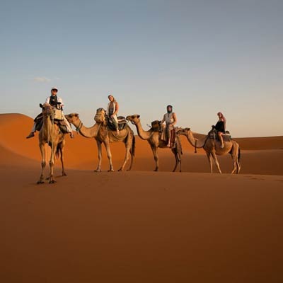 Camel Trekking Tour Riyadh