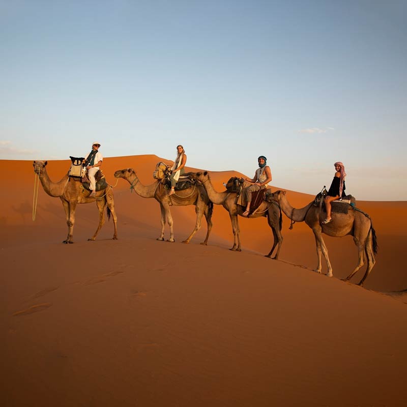 dune buggy tour riyadh-sm