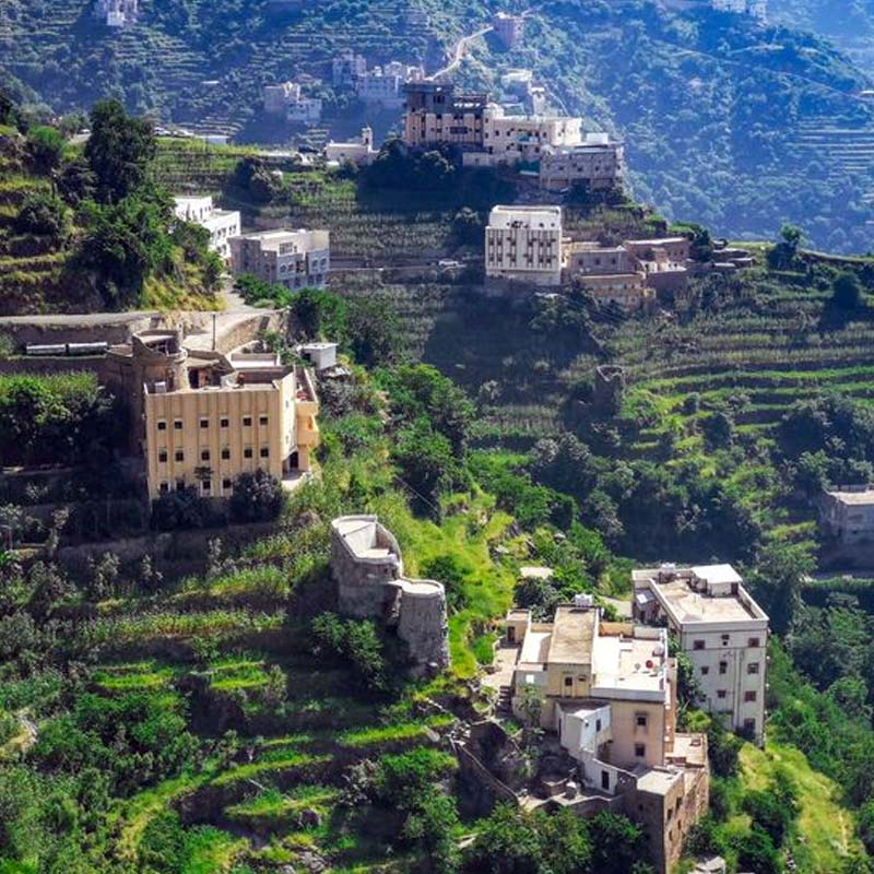 Discover The Pearl Of The South Jazan My Saudi Tours