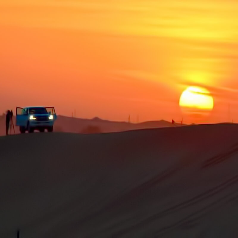Morning desert safari jeddah-sm