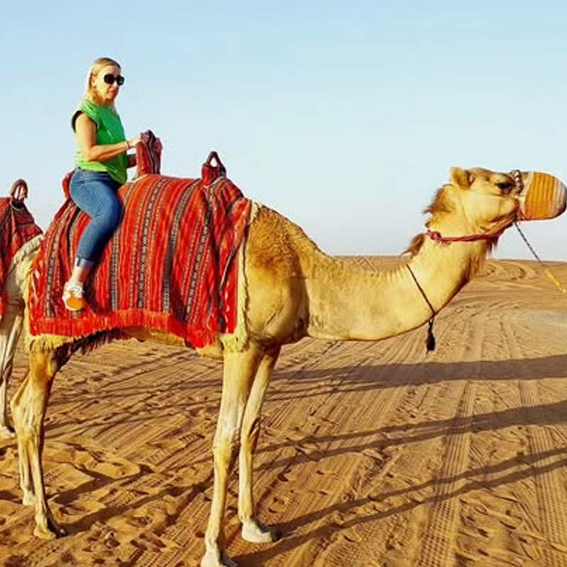 quad bike camel trekking  riyadh-sm